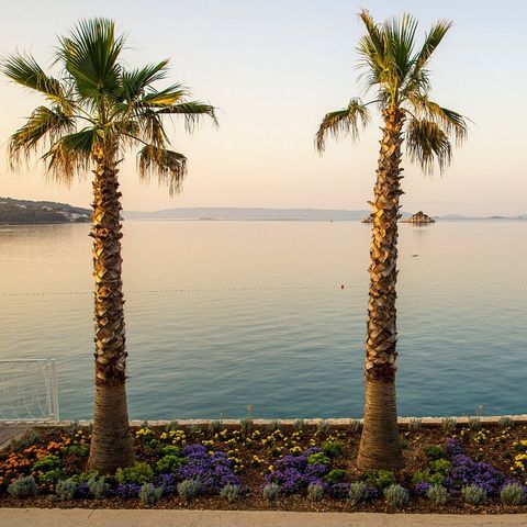 Amadria Park Camping Trogir (ex Camping Belvedere) Amadria Park Camping Trogir (ex Camping Belvedere) - Camping Split-Dalmatie - Image N°13