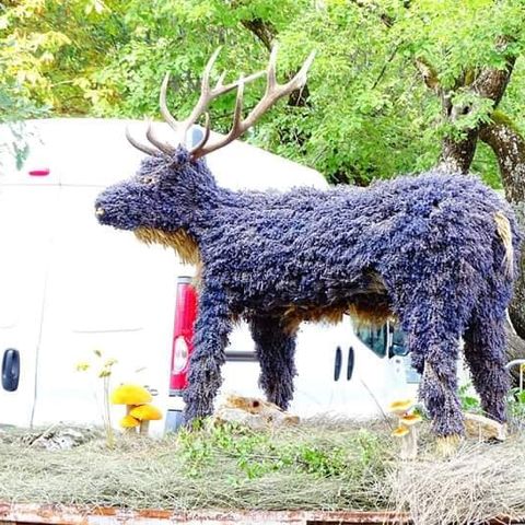 Camping Du Défends  - Camping Vaucluse - Image N°13