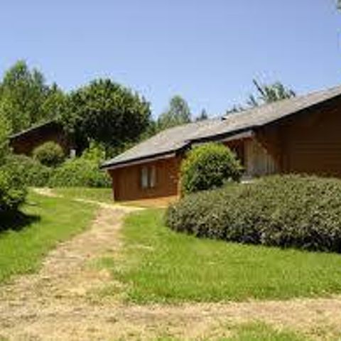 Camping Du Défends  - Camping Vaucluse - Image N°19