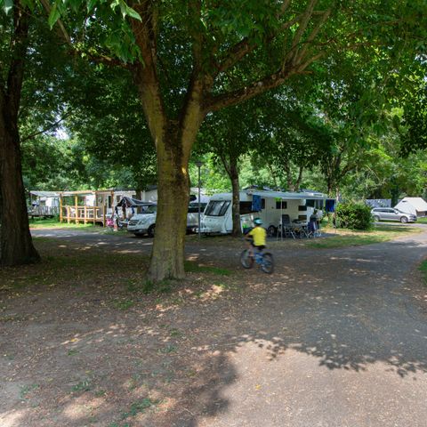 PLOT - Comfort package: tent, caravan or camper / 1 car / 10A electricity