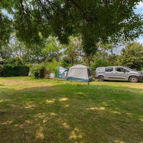 PLOT - Comfort package: tent, caravan or camper / 1 car / 10A electricity