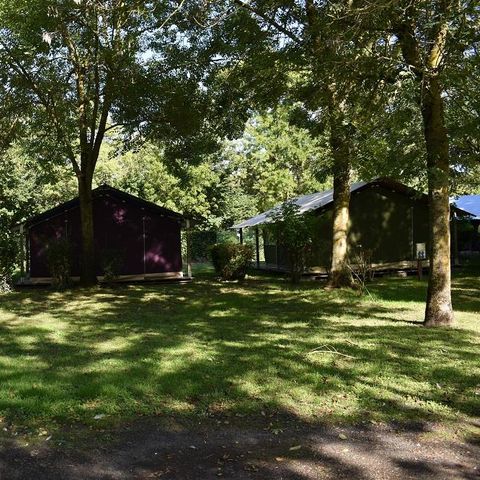 PLOT - Comfort + package: tent, caravan or camper / 1 car / 10A electricity with water point and grey water drainage on site or near the pitch