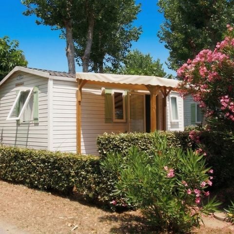 BUNGALOW 4 personnes - COCOON - TV