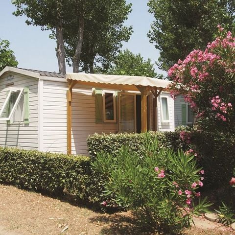 MOBILHOME 4 personas - COCOON - TV