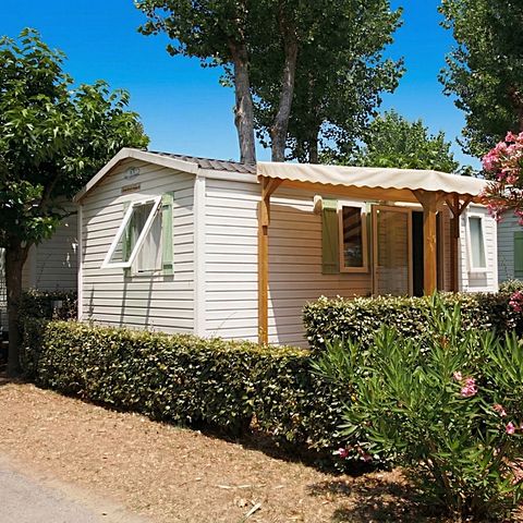 Mobile home 4 persons - COCOON - TV