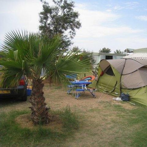 STAANPLAATS - Standplaats tent of caravan + 1 voertuig + elektriciteit + water