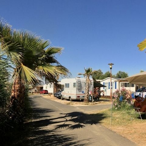 Kampeerplaats - Standplaats tent of caravan + 1 voertuig + elektriciteit + water