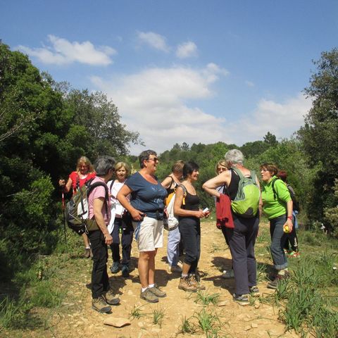 Camping Bleu Marine Camping Bleu Marine - Camping Herault - Image N°31