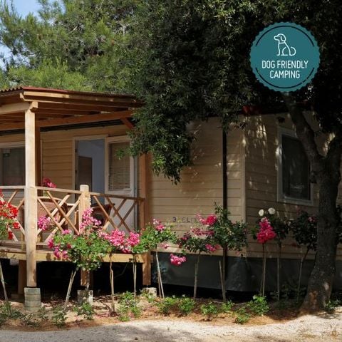 Mobile home 4 persons - Mobile Home 4+2