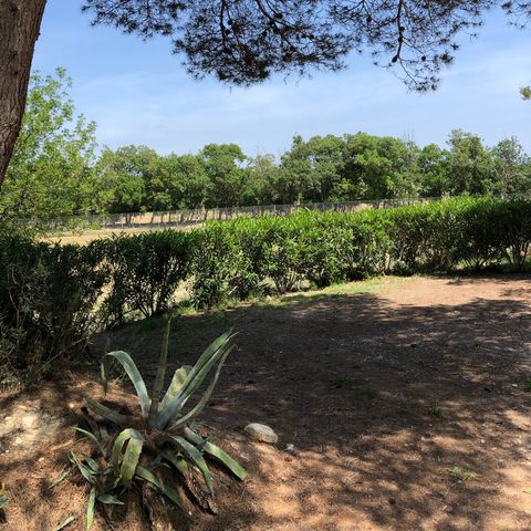 PIAZZOLA - PIAZZOLA + ELETTRICITÀ (6A)