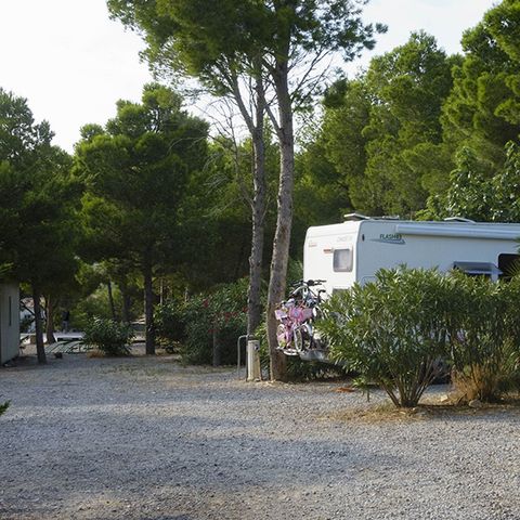 PLOT - CAMPING PITCH + ELECTRICITY (6A)