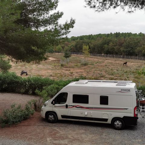 EMPLACEMENT - EMPLACEMENT CAMPING + ELECTRICITE (6A)