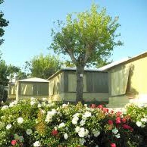 BUNGALOW DE LONA 4 personas - No hay instalaciones sanitarias el sábado a la llegada