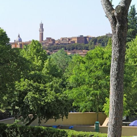 EMPLACEMENT - Tente et voiture