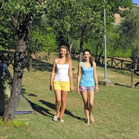 Pitch - Tent and car