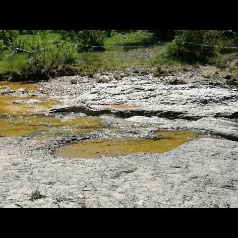 Camping de Valsaintes Camping de Valsaintes - Camping Alpes-de-Haute-Provence - Image N°15