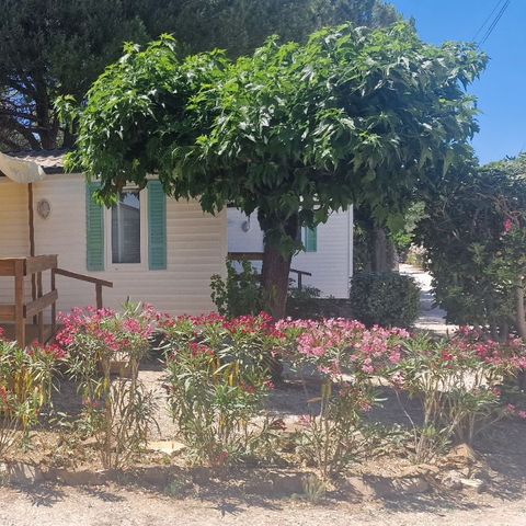 MOBILE HOME 6 people - Mobile-home Cayanne Standard Clim 31m² - 2 bedrooms, semi-covered terrace - air-condition -