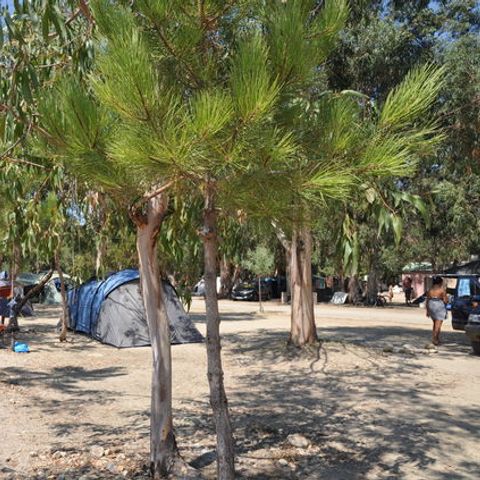 Camping Des Nacres - Camping Corse du Nord - Image N°3