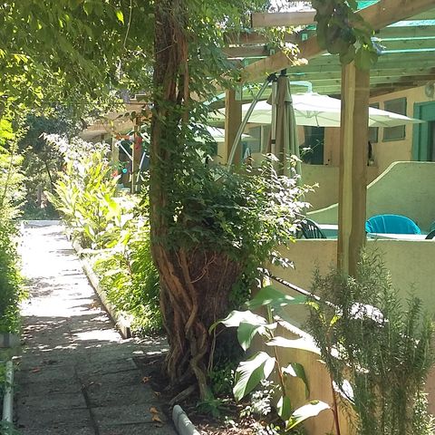 Bungalow 4 Personen - T1