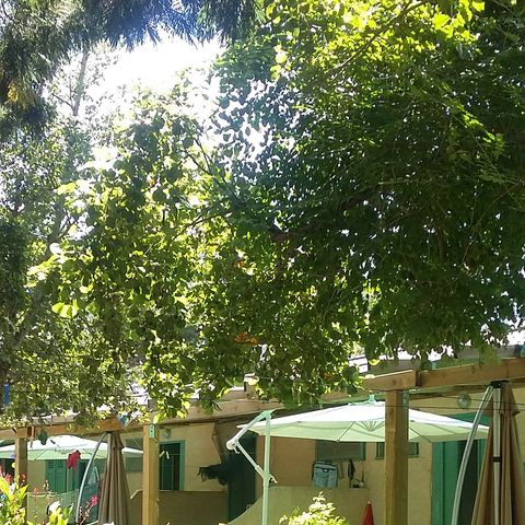BUNGALOW 4 people - T1