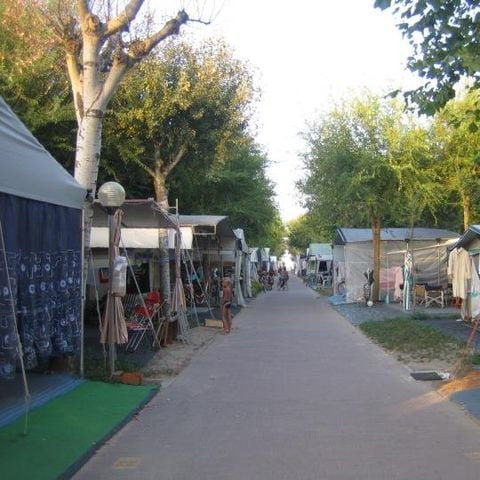 Kampeerplaats - auto + tent/caravan + elektriciteit