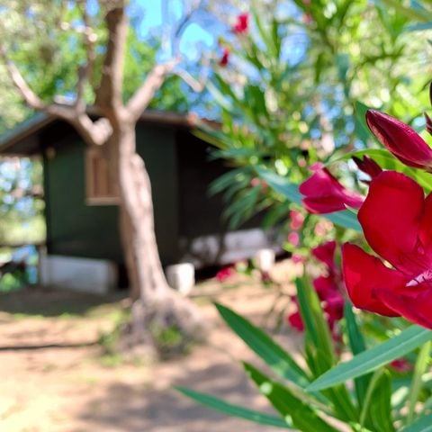 Bungalow 4 personen - Superieur