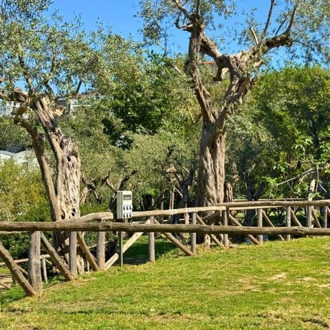 PIAZZOLA - Tenda piccola