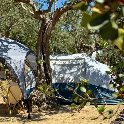 PARCELA - "Standard Platz