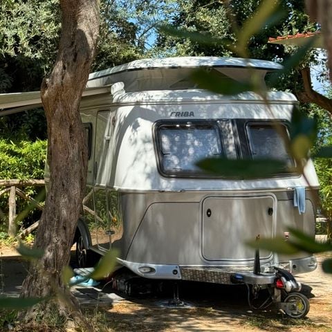 Pitch - "Standard Platz