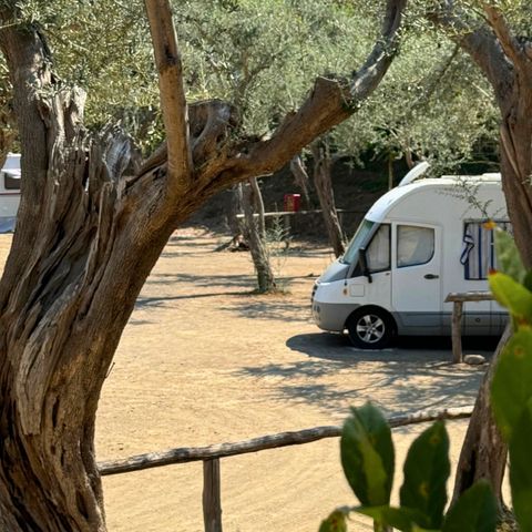 STAANPLAATS - "Standard Platz