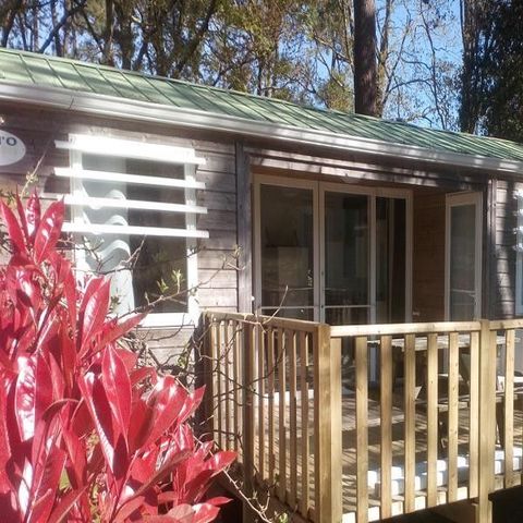 Mobile home 4 persons - PREMIUM