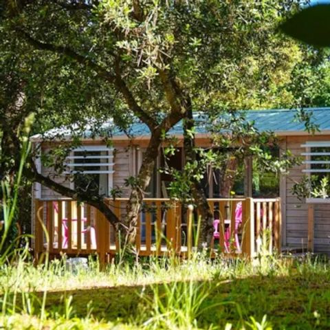 Mobile home 4 persons - PREMIUM