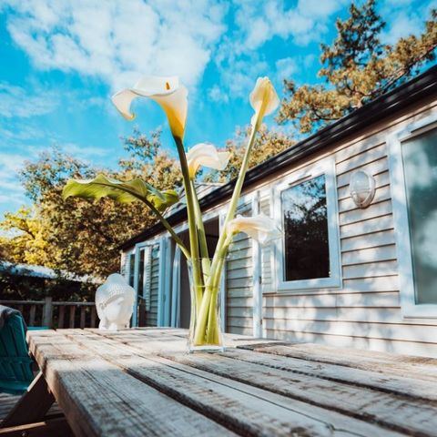 Mobile home 6 persons - PREMIUM