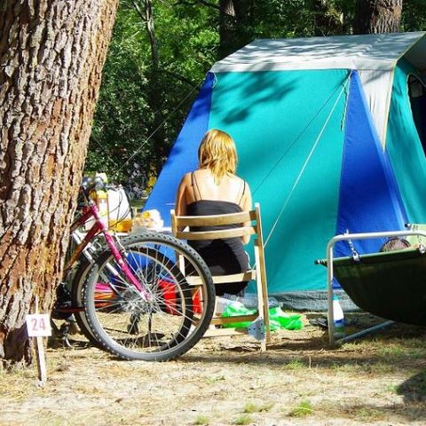 PIAZZOLA - Premium +
