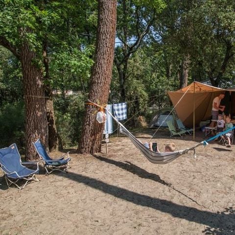 Stellplatz - Premium +