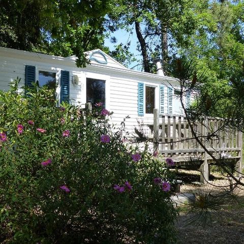 Mobile home 4 persons - COMFORT
