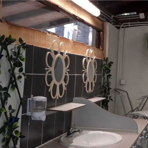 STAANPLAATS - Comfort pakket met tent/caravan + 1 auto + elektriciteit