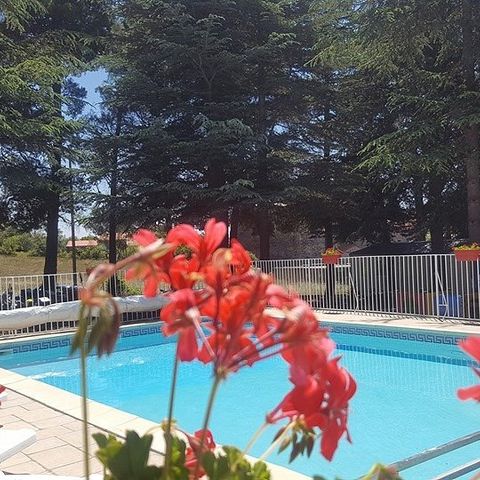 Camping La Source Camping La Source - Camping Pyrenees-Orientales - Image N°4