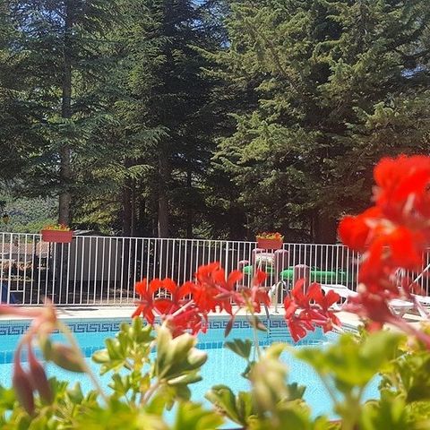 Camping La Source Camping La Source - Camping Pyrenees-Orientales - Image N°5