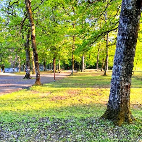 PARCELA - Paso estándar