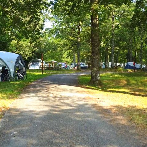 PIAZZOLA - Passo standard