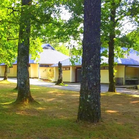 PLOT - Standard pitch