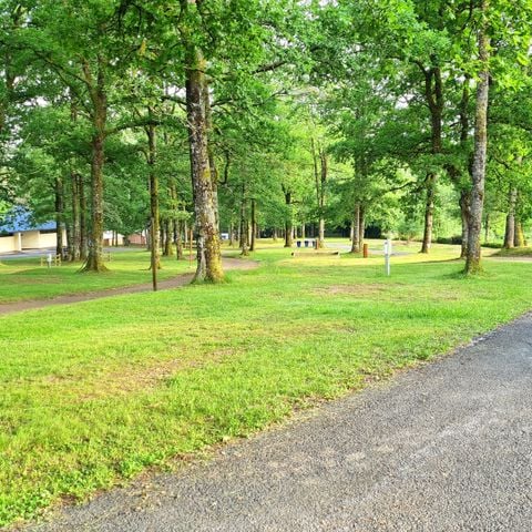 STAANPLAATS - Grote, comfortabele locatie