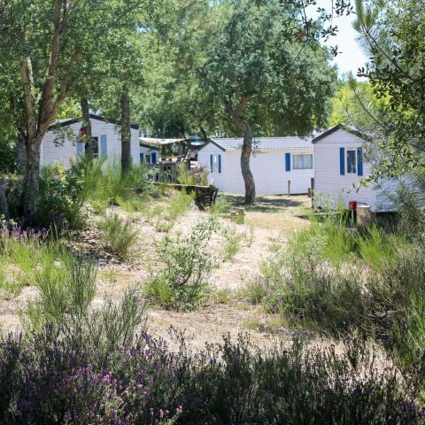 MOBILHOME 4 personnes - Standard