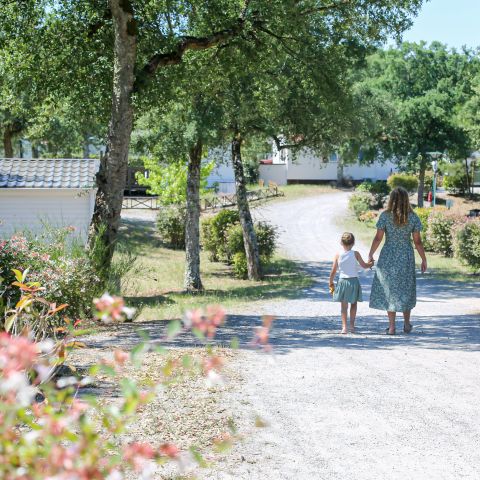 PLOT - Electrified package: 2 people + 1 vehicle + 1 installation + electricity for 2 people