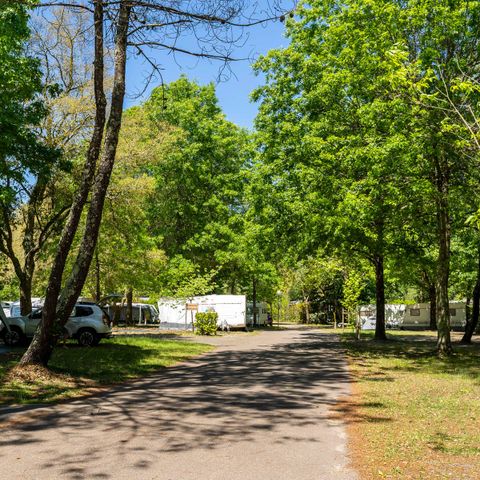 PARCELA - Paquete electrificado: 2 personas + 1 vehículo + 1 instalación + electricidad para 2 personas