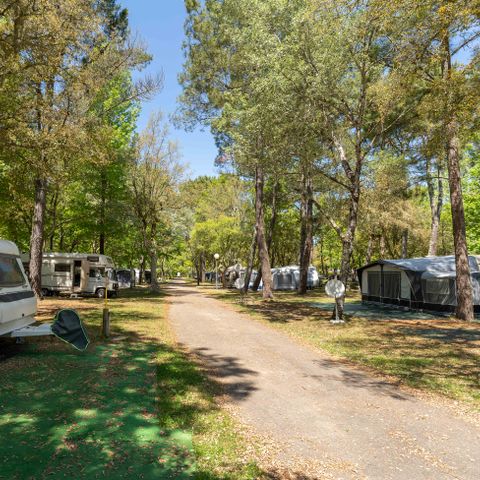 Pitch - Electrified package: 2 people + 1 vehicle + 1 installation + electricity for 2 people