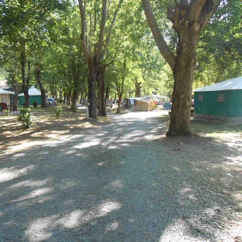 BUNGALOW DE LONA 4 personas - Bungalow de lona 4 personas