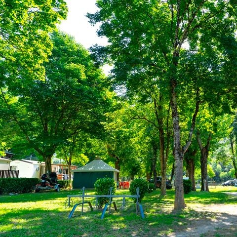 PIAZZOLA - Pacchetto 1 veicolo