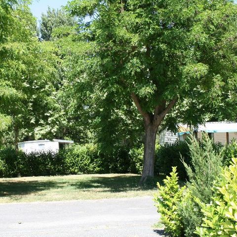 EMPLACEMENT - Emplacement tente / caravane + véhicule